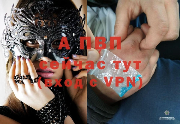 винт Ельня